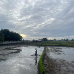 2E49FC17-932C-4569-85DC-8CD0FD9DB3EC