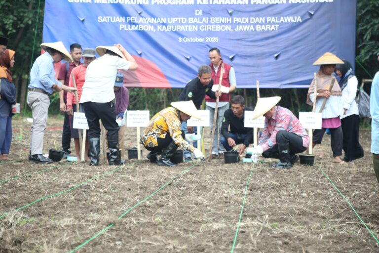 1108A568-65D4-4F43-BC01-AD8A1B534589