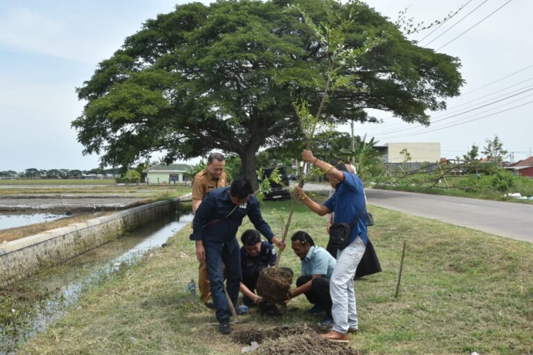 32E4C1F2-36A8-4966-A5B8-9D3854B8A1B5