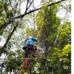 E80773F7-B5CE-4271-813D-4D97E6805D2C