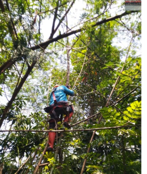 E80773F7-B5CE-4271-813D-4D97E6805D2C