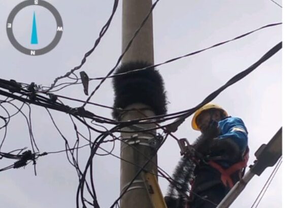 5a777b3b-e7f2-435d-829d-2804748f7678