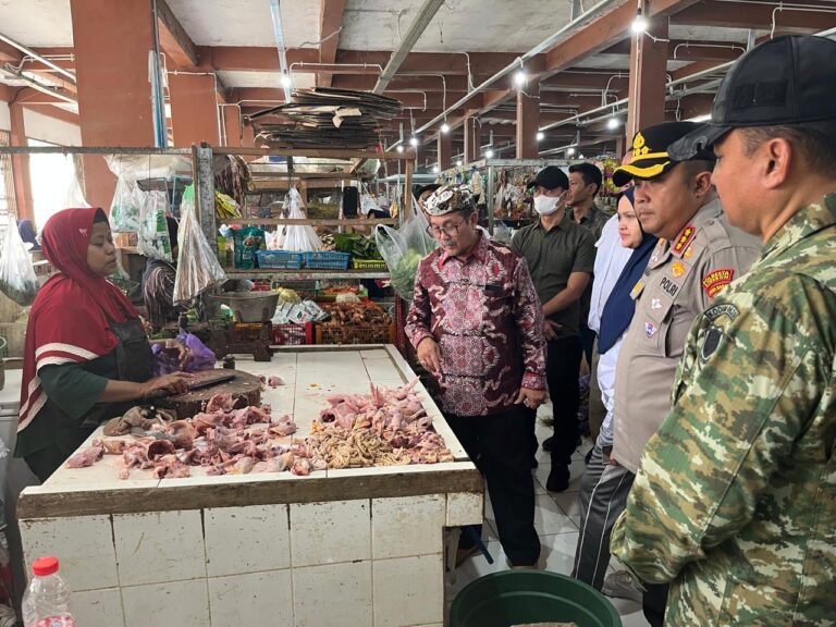 7d77374b-df12-4da5-b107-fb43a3e49336