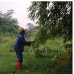 de679539-0348-40c1-b3e9-c784e589f533