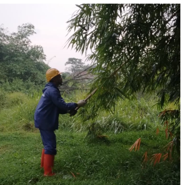 de679539-0348-40c1-b3e9-c784e589f533