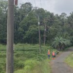 694b4570-3d7d-426a-9fec-b2ba671b67f4