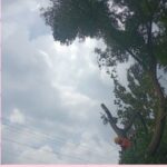 82f8e410-c932-46e6-8d99-95123d0d9fef