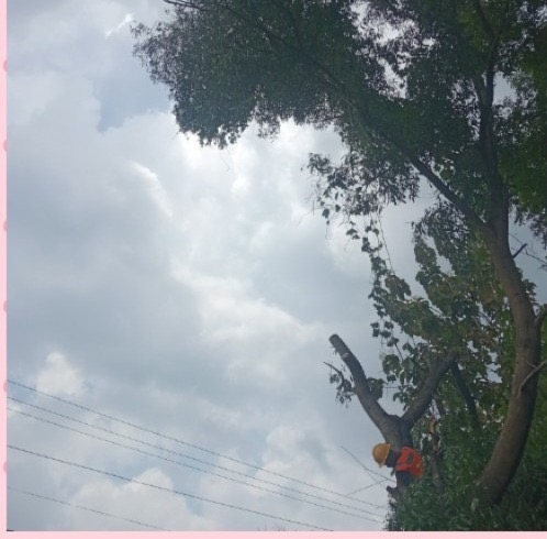 82f8e410-c932-46e6-8d99-95123d0d9fef